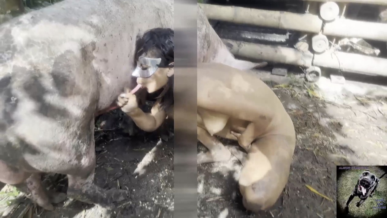 猪女（高质量人与动物有需要看主页简介或者私信）#人妻#骚逼