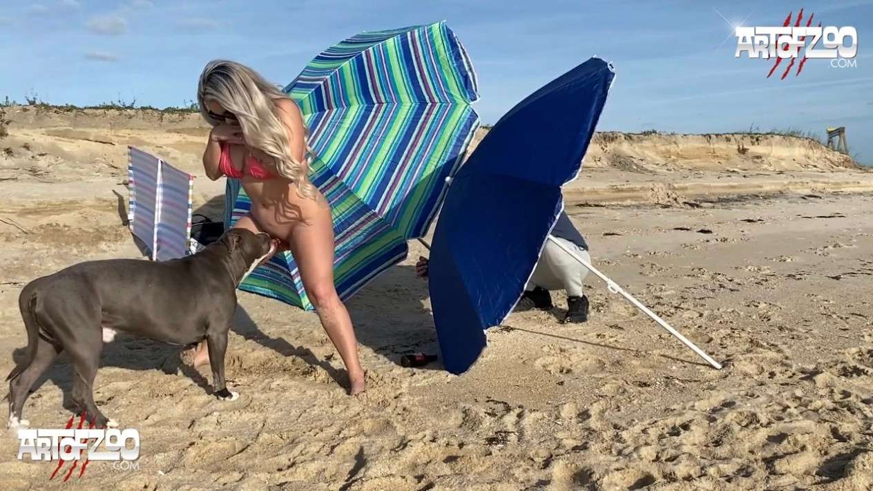 沙滩上露出被狗狗狂插内射两次