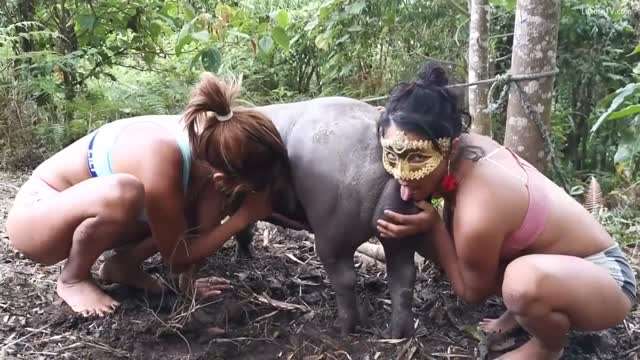 大洋马的人与动物