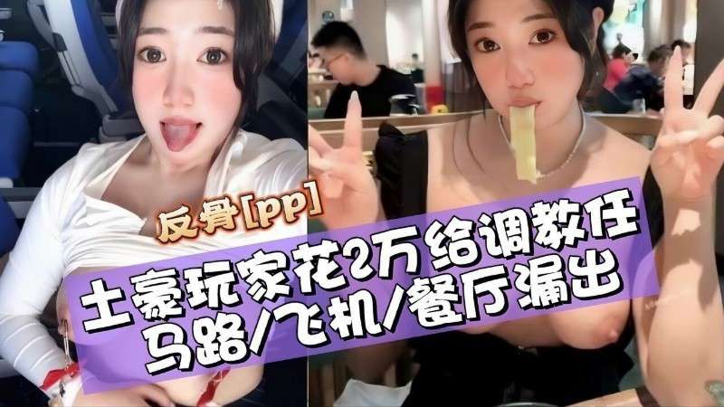 【露出调教】反骨Ipp土豪玩家花2万络调教庄马路飞机餐厅漏出