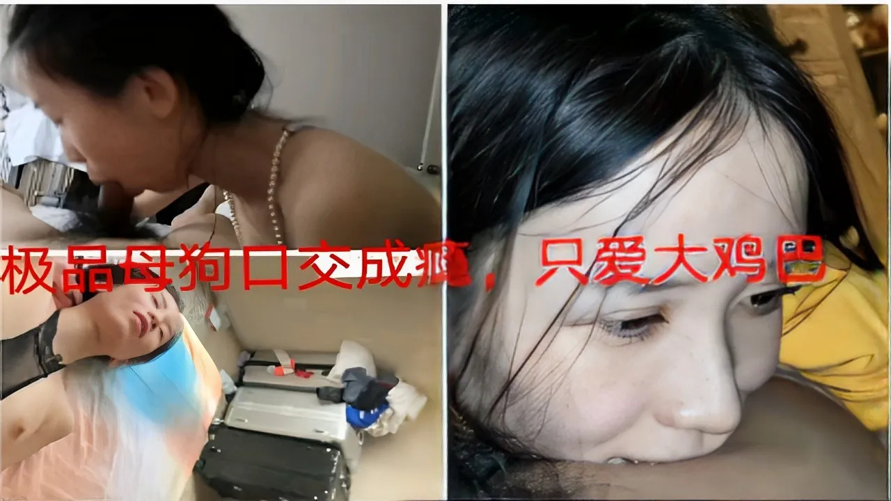 极品母狗口交成瘾 只爱大鸡巴