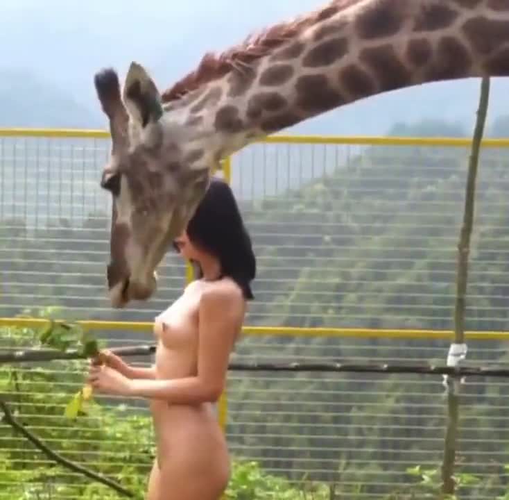 人与自然的完美融合，阿朱