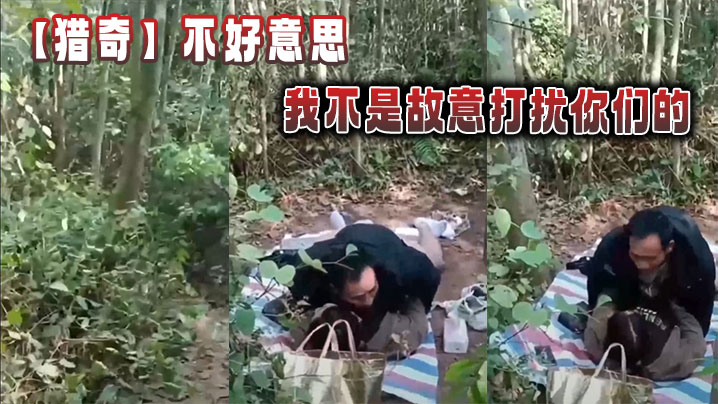 【猎奇】不好意思，我不是故意打扰你们的